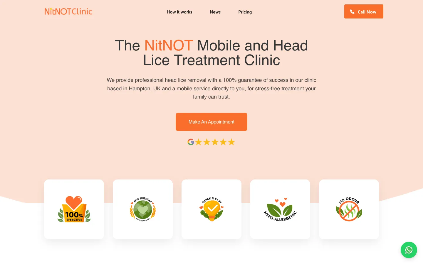 Screenshot of NitNot Clinic, a Healthcare website built for free.